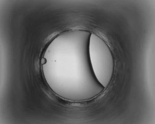 X0000085270298200703090921