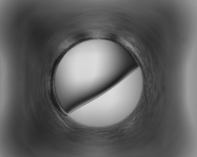 X0000085270299200703090921