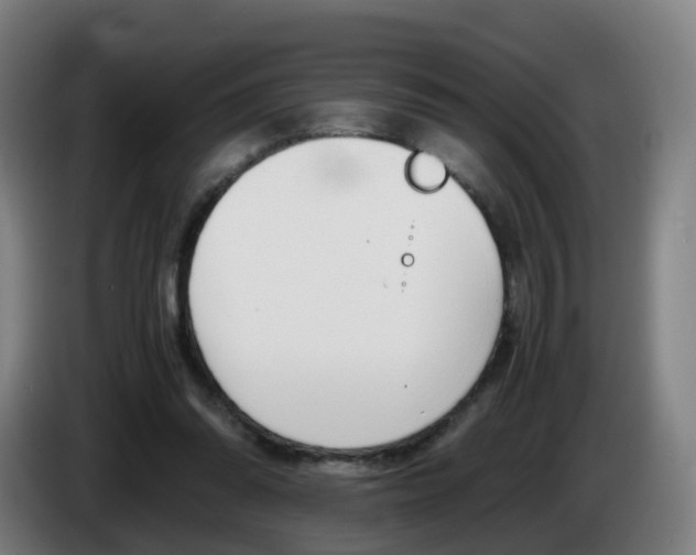 X0000085270302200703090921