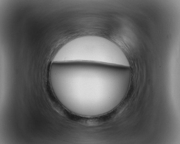 X0000085270303200703090921