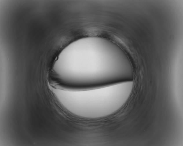 X0000085270307200703090921