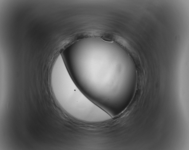 X0000085270309200703090921