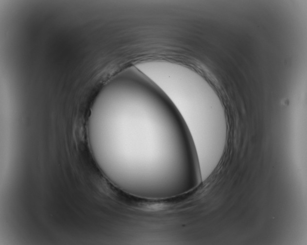 X0000085270313200703090921