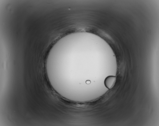 X0000085270314200703090921