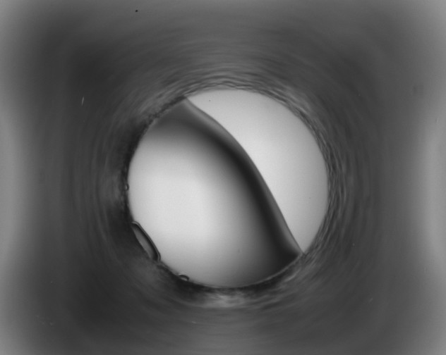 X0000085270317200703090921