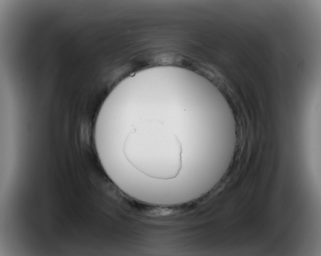 X0000085270326200703090921