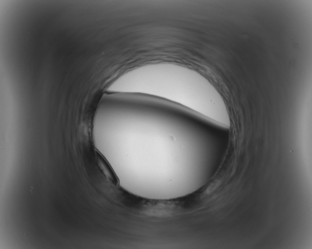 X0000085270329200703090921