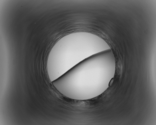 X0000085270330200703090921