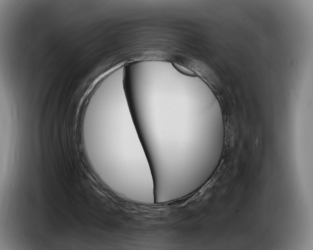 X0000085270338200703090920