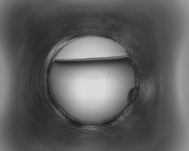 X0000085270341200703090920