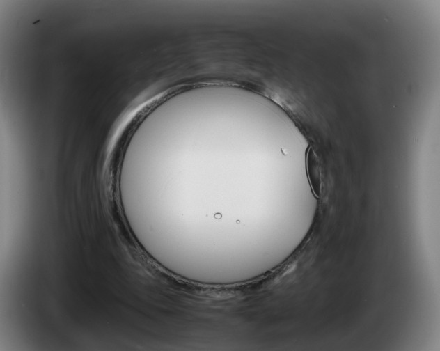 X0000085270343200703090920