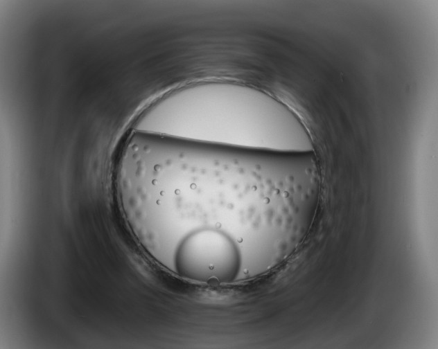 X0000085270346200703090920