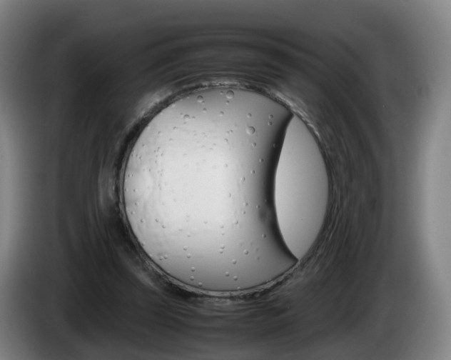 X0000085270347200703090920