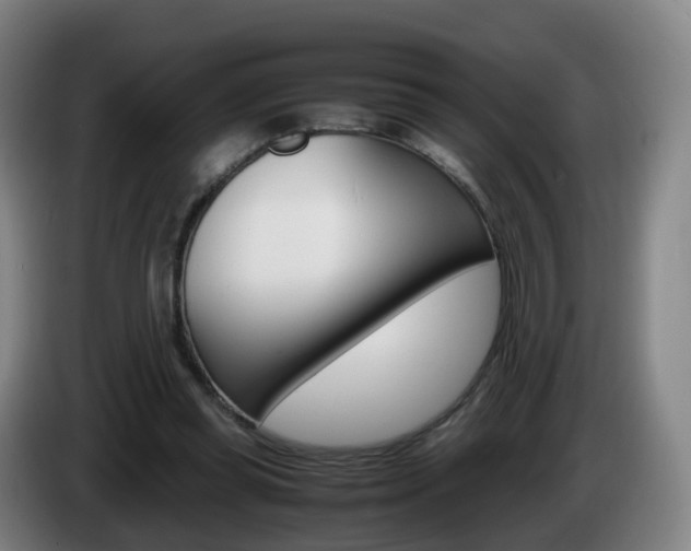 X0000085270349200703090920