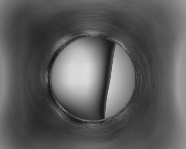 X0000085270350200703090920