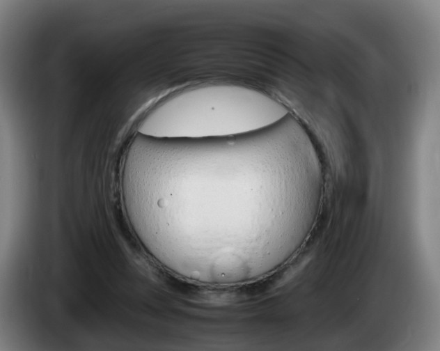 X0000085270351200703090920