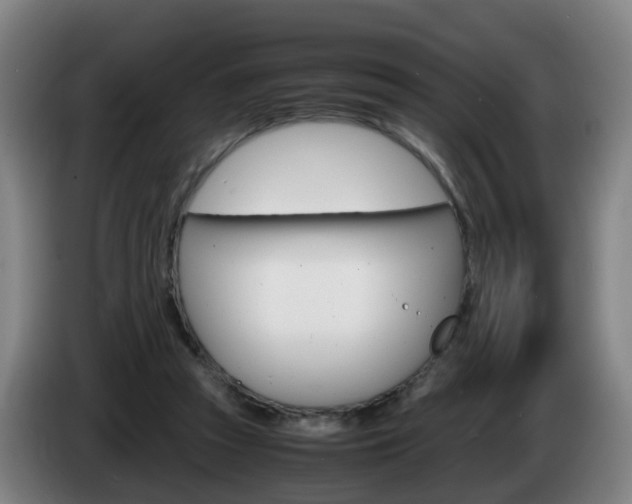 X0000085270353200703090920