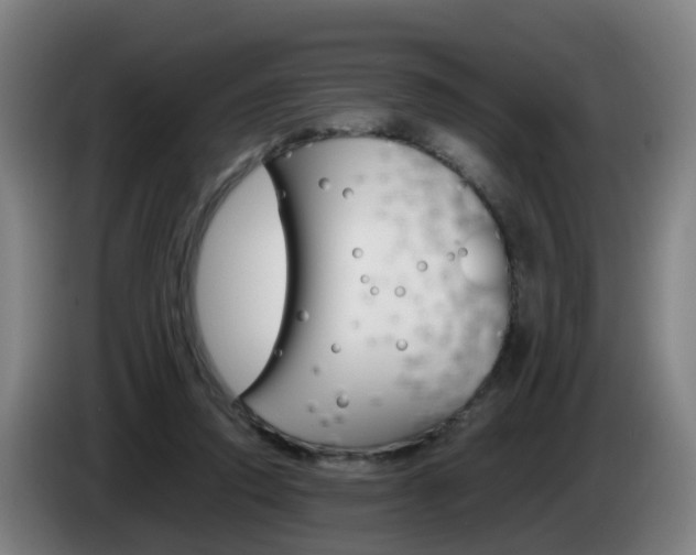 X0000085270354200703090920