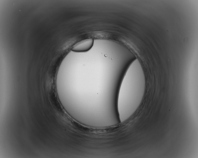 X0000085270355200703090920