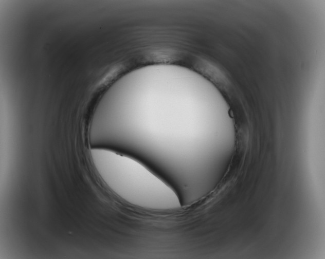 X0000085270358200703090920