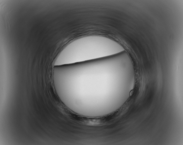 X0000085270361200703090920