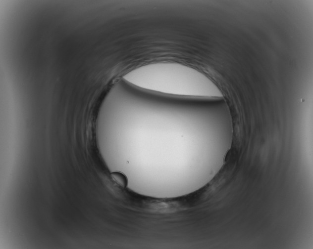 X0000085270379200703090920