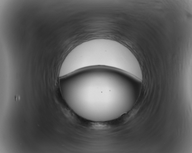 X0000085270380200703090920