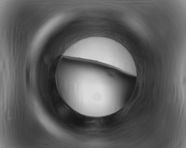 X0000085270383200703090921