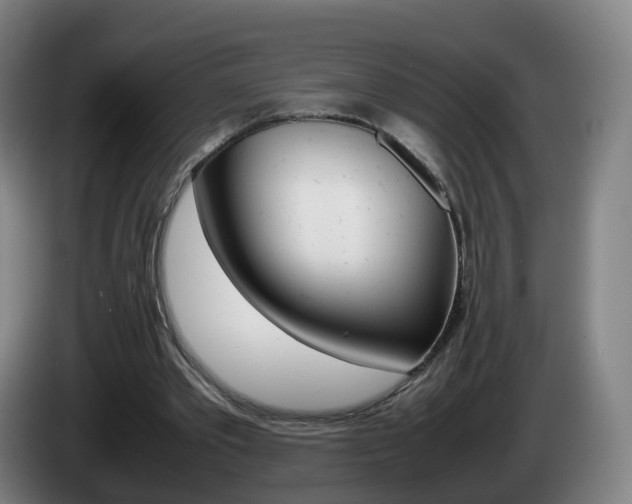 X0000085270389200703090920