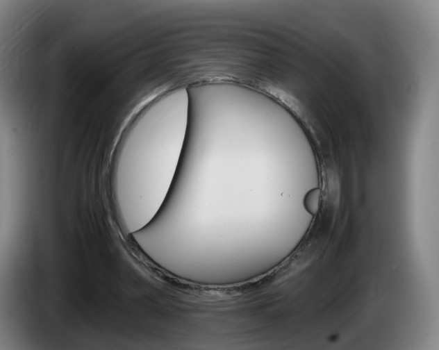 X0000085270390200703090920