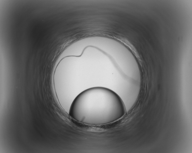 X0000085270393200703090920