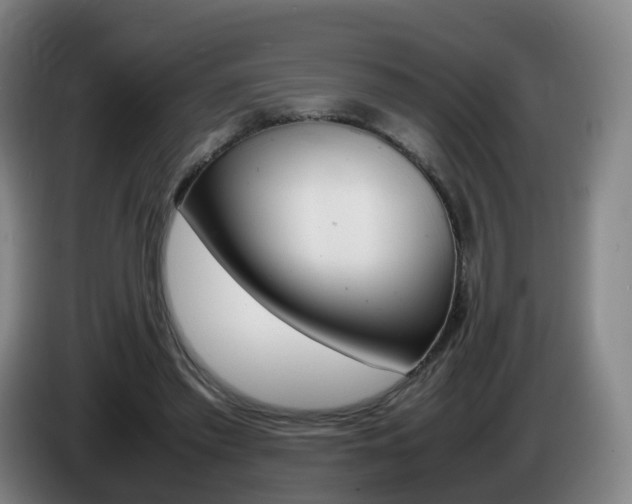 X0000085270397200703090920