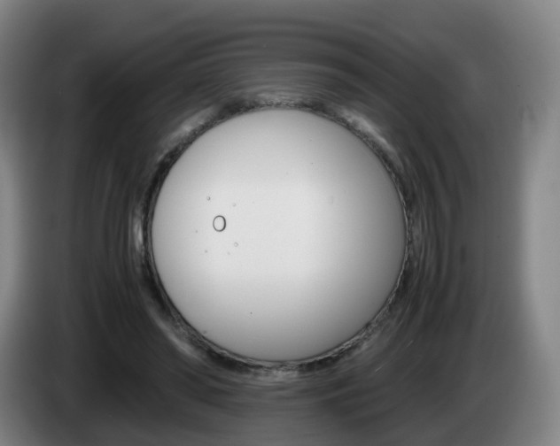 X0000085270398200703090920