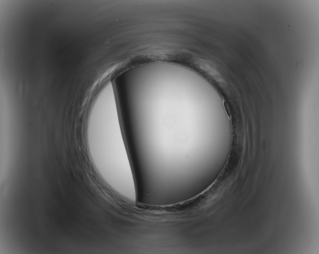 X0000085270399200703090920