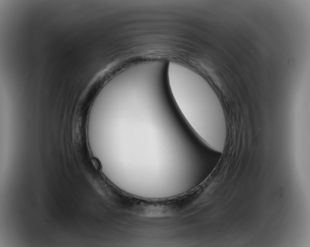 X0000085270400200703090920