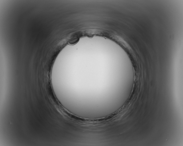 X0000085270401200703090920