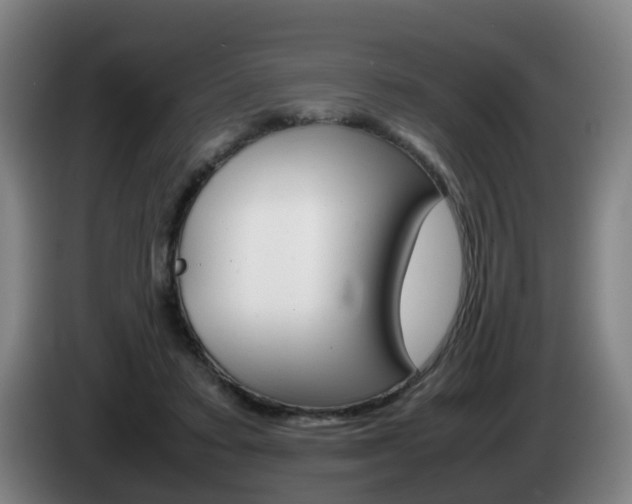 X0000085270403200703090920