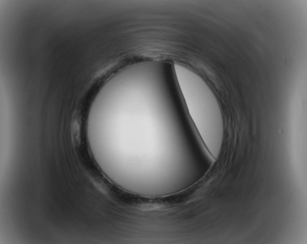 X0000085270404200703090920