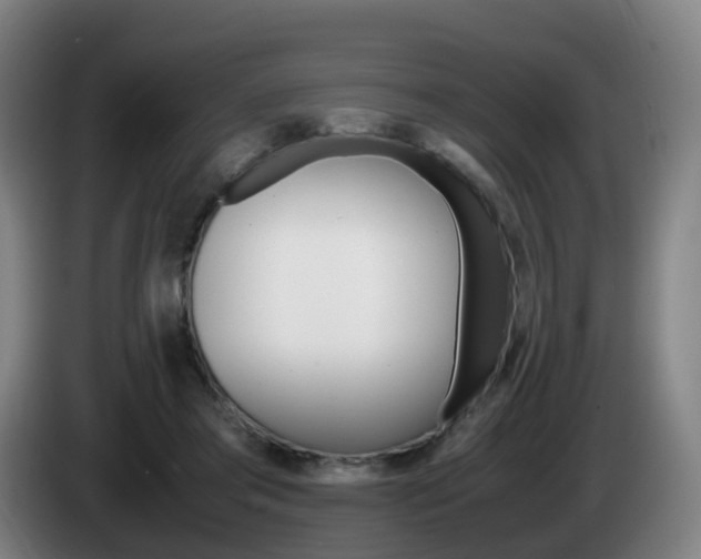 X0000085270405200703090920