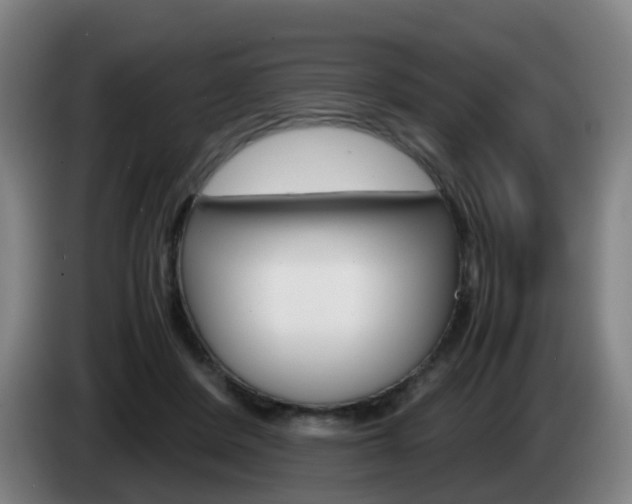 X0000085270408200703090920