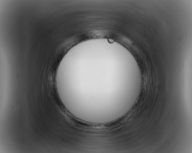 X0000085270410200703090920