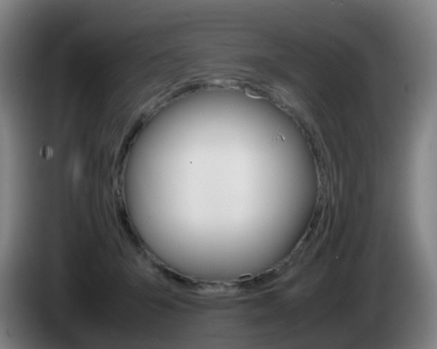 X0000085270415200703090919