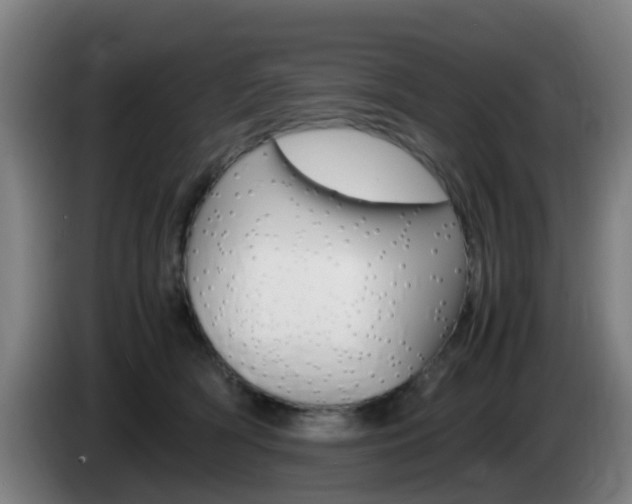 X0000085270418200703090919