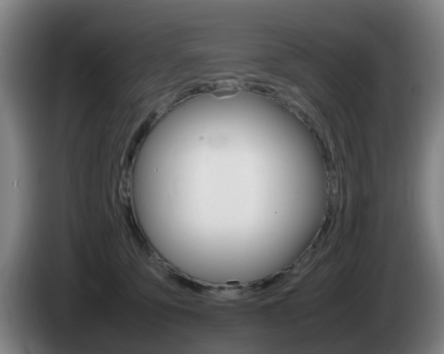 X0000085270419200703090919