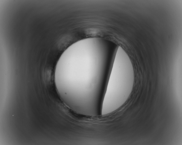 X0000085270420200703090919