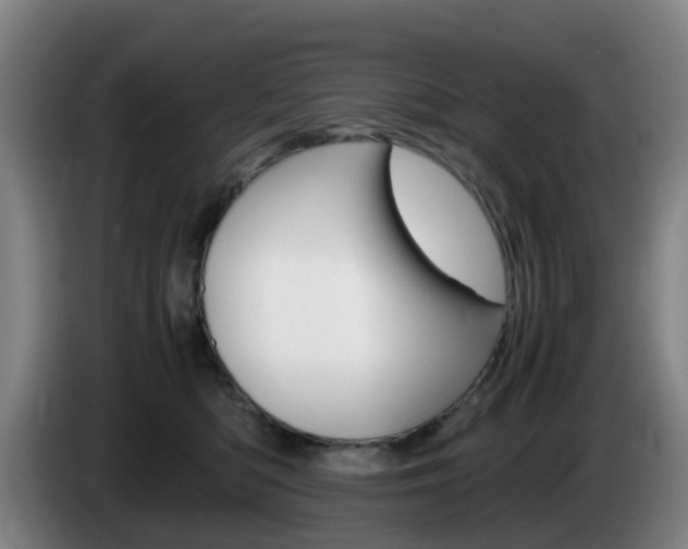 X0000085270422200703090919