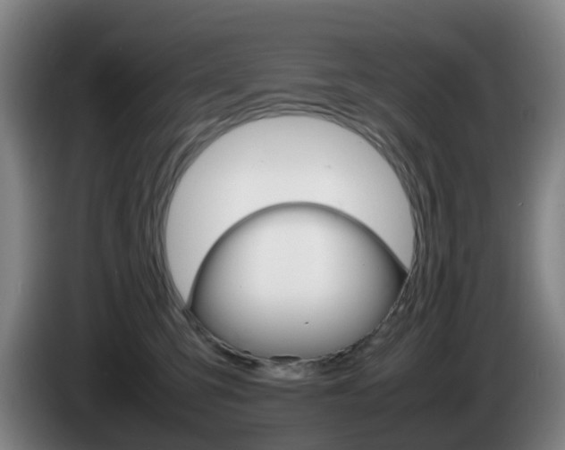 X0000085270423200703090919