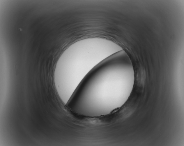 X0000085270424200703090919