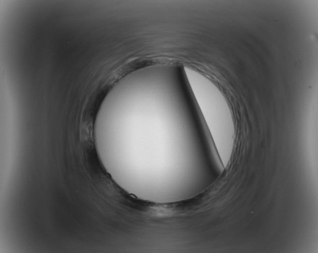 X0000085270425200703090919