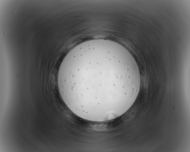 X0000085270426200703090919